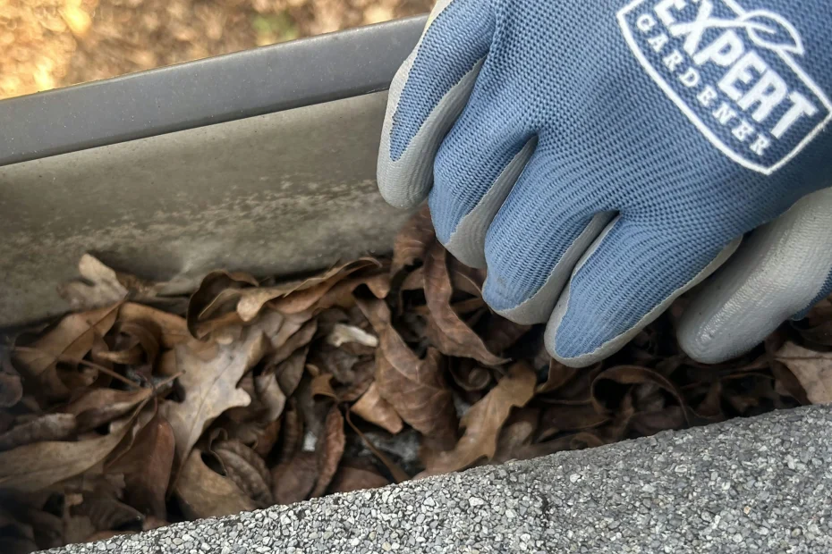 Gutter Cleaning DeSoto, KS