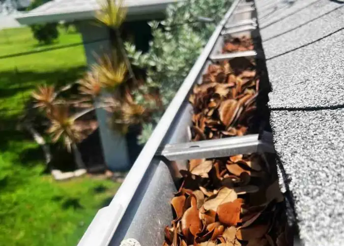 Gutter Cleaning DeSoto, KS home page